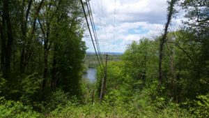 View of river and valley through trees.