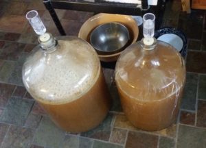 Homebrew beer ferments in jugs.