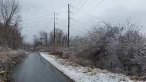 bike path, power lines and winter woods