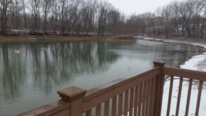 unfrozen pond in winter
