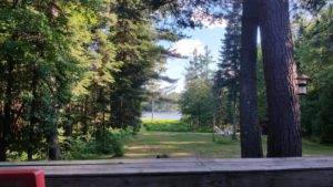 adirondack trees and lake