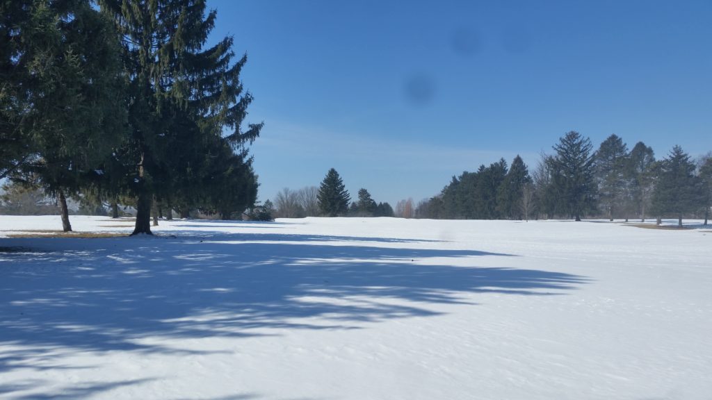 snowy field